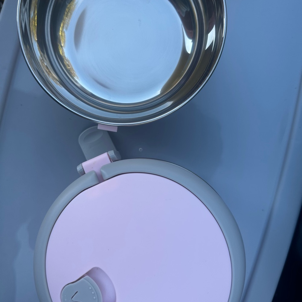 Pink and Silver lunch Bowl Set